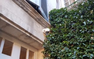Pose de caméra de vidéosurveillance extérieure dans un hôtel à Avignon